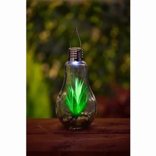 Succulent Solar Light Bulb 1 Succulent Solar Light Bulb
