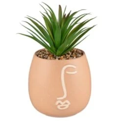 B&M Face Planter