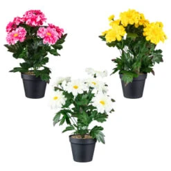 B&M Zinnia Plant Pot - Yellow -Garden Furniture Store 392826 zinnia in pot group